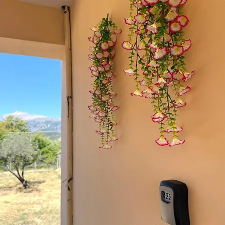 The Twin Metamorfosi (Troizinia-Methana)