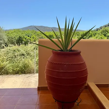 The Twin 펜션 Metamorfosi (Troizinia-Methana)