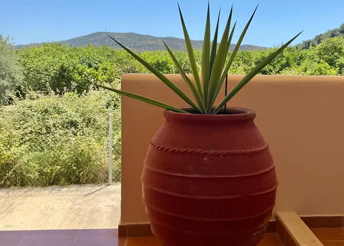 The Twin Ferienhaus Metamorfosi (Troizinia-Methana)